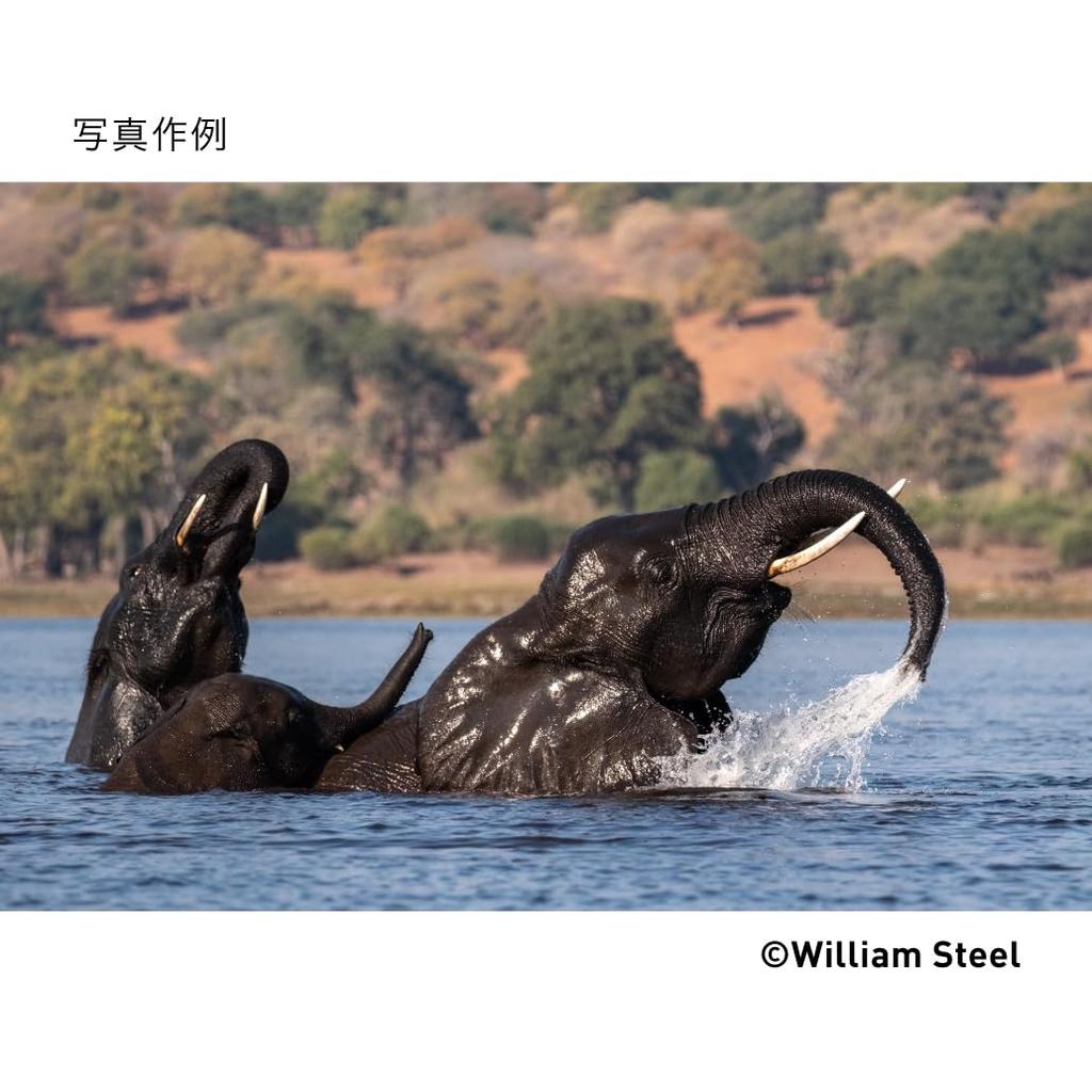 Sigma Объектив DG DN для беззеркальных зум-телеобъективов Fujifilm 100-400 мм F5-6.3 X-Mount Полнокадровый (современник)