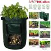 Practical And Lightweight Garden Plant Tools For Homegrown Food On Balconies And Patios