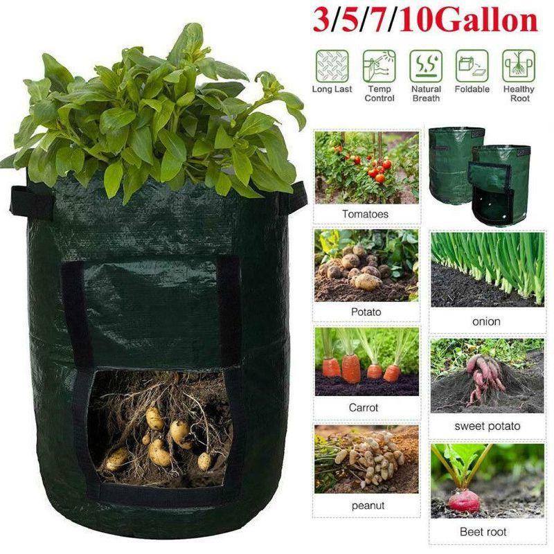 Practical And Lightweight Garden Plant Tools For Homegrown Food On Balconies And Patios