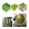 Preserved Moss Gardenning Art Wall Decor Moss Bulk Micro Landscape Decorative Props
