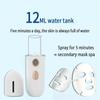 Portable Facial Moisturizing Sprayer - USB Charging Humidifier and Face Steamer