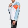 Adidas Neo Hooded Zip Windbreaker Jacket Men Jackets White Legend-Ink-Blue DW8109