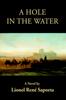 Книга A Hole In the Water