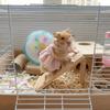 Adorable Hamster Princess Dress Lightweight Pet Suspender Skirt  Fancy Rats