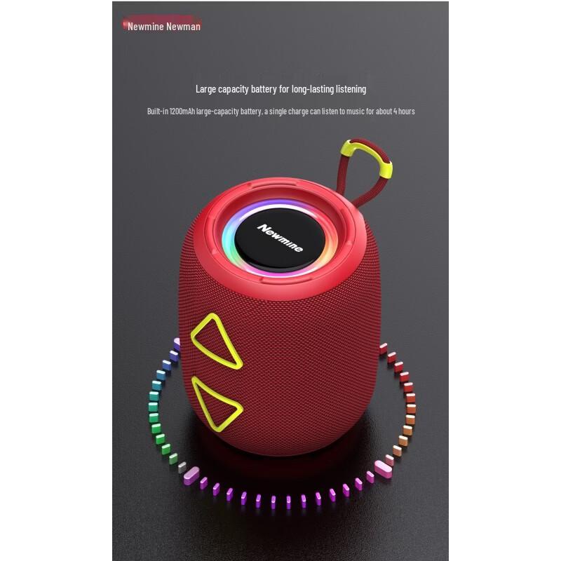 Портативная Bluetooth-колонка Newmine BT87, штекер CN (адаптер в комплекте)