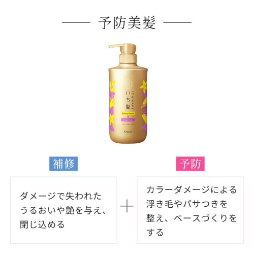 Ichikami [Damage Repair & Color Care] Shampoo Large Capacity Refill 660ml | Non-Silicone Amino Acid Shampoo Hair Care Damage Care Color Fading Prevent