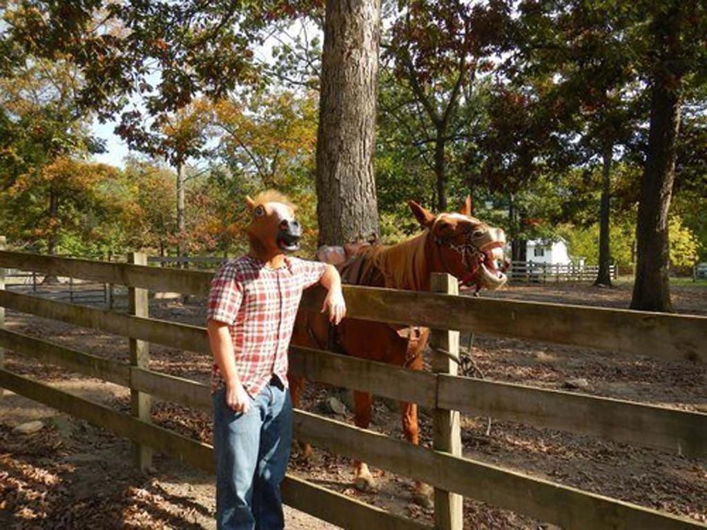 Funny Horse Halloween Funny Animal Monster Realistic Halloween Prop Horse Head [ShuaWdk] Mask, Cosplay, Mask, Headgear, Mask, Disguise, Mask, Cosplay,