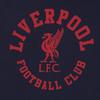 Liverpool FC Мужское графическое флисовое худи