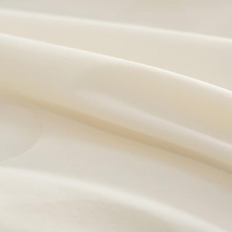 Mercury Home Four Seasons Viscose Fiber Quilt