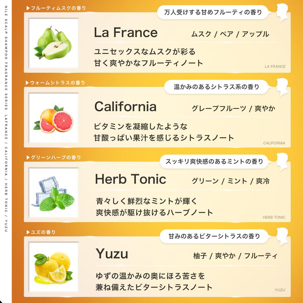 NILE Dense Foam Scalp Shampoo for Men, Amino Acid Shampoo, Silicone-Free (La France Scent)