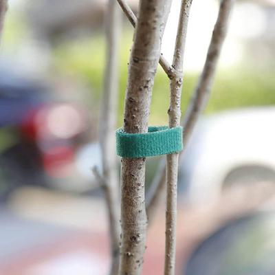 1 рулон веревки для растений многоразового использования с прочным захватом, нейлоновая зеленая лента, виниловая завязка для садоводства