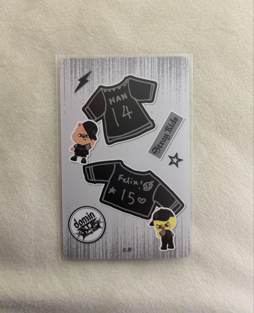 [USED] Stray Kids Ecopa Unit Trading Cards