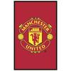 Manchester United FC Rug