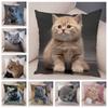 Русская голубая Британская короткошерстная Наволочка Декор Милый кот Домашнее животное Животное Наволочка Мягкий плюшевый Чехол для подушки для машины Дивана Дома