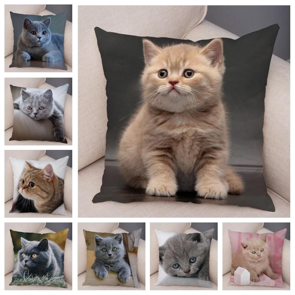 Русская голубая Британская короткошерстная Наволочка Декор Милый кот Домашнее животное Животное Наволочка Мягкий плюшевый Чехол для подушки для машины Дивана Дома