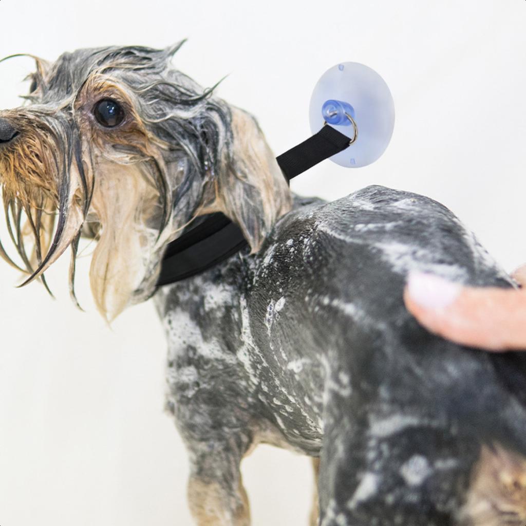 New Indulge Your Beloved Pet with a Luxurious and Rejuvenating Day At Our Opulent Pet Spa Salon - Pamper Them with Top-Quality G