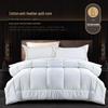 Jin Aili Anti-Feather Fabric Duvet Insert