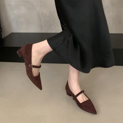 Темпераментные туфли черного цвета с острым носком и пряжкой, осенние новинки, на каблуках, женские туфли Мэри Джейн на толстом каблуке