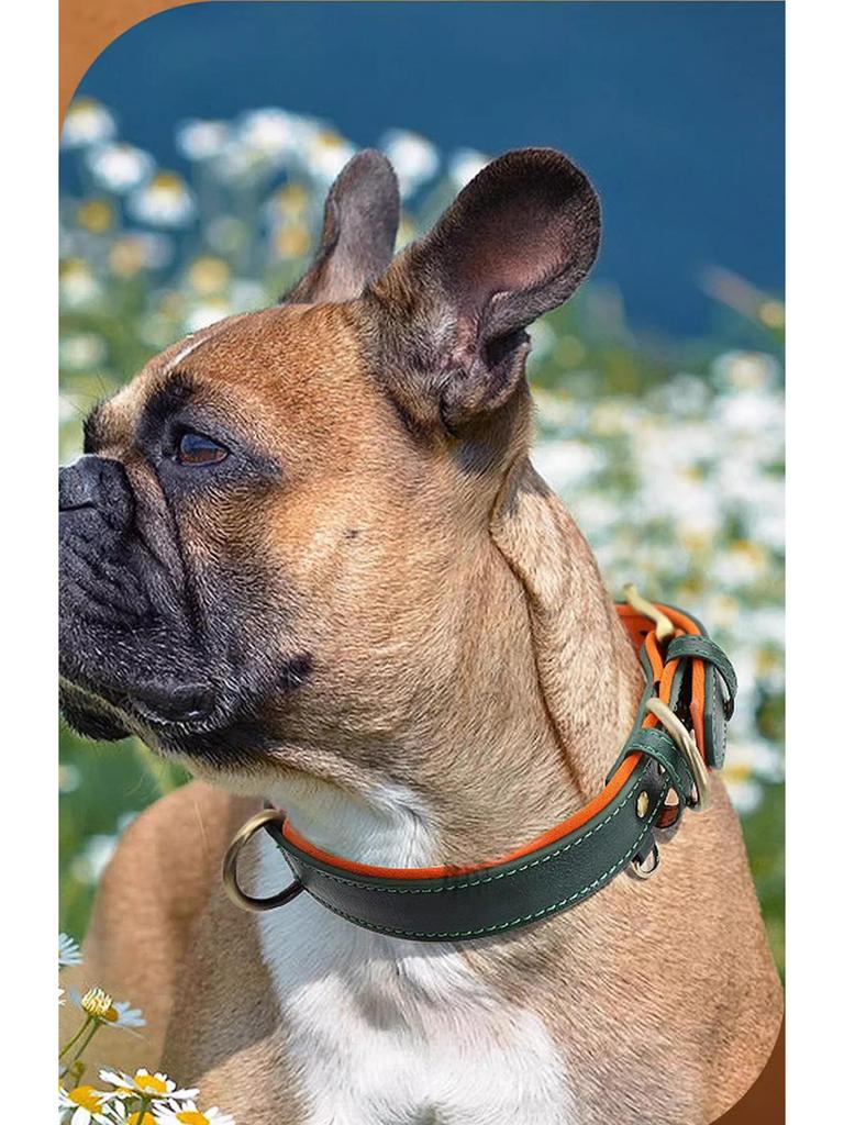 Laser-Engraved Leather Dog Collar with ID Tag for Small & Medium Dogs - Anti-Lost Pet Neck Band