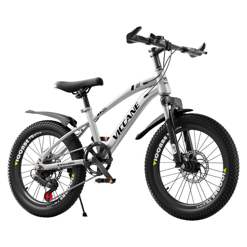 20 Inch Variable Speed Mountain Bike for Children Ages 7-11