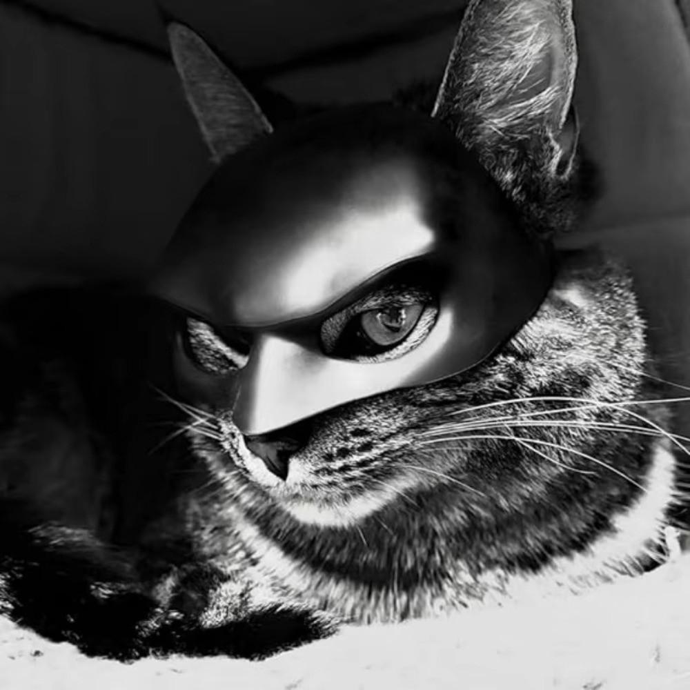 Black Halloween Pet Costume Faux Leather Cape Cat Costume Set Cosplay Dress Up