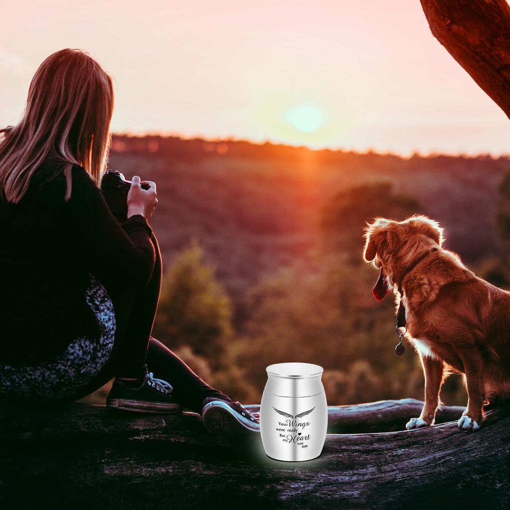 Small Cremation Urn for Pet Ashes Pet Keepsake Urn Stainless Steel Memorial Keepsake Urns for Dogs Cats Ashes Holder