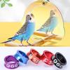 10 шт. сплава кольцо для ног птицы кольцо для ног голубей с пронумерованным инструментом для обучения полетам на открытом воздухе идентификационная этикетка для соревнований