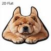 2D Flat Printing Tiger Cat Toilet Base Pad Diatomaceous Bathroom Floor Mat Bath Mat  Restroom