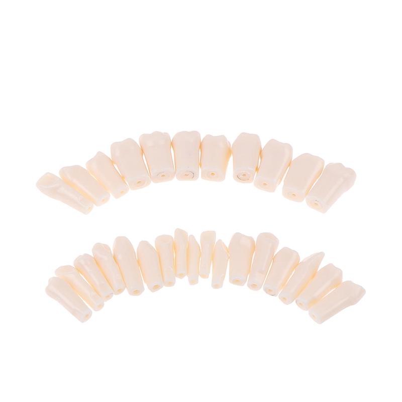 28 шт./компл. стоматологическая смола Typodont, модель зуба, обучающие инструменты для стоматологии