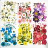 1 Set Dried Pressed Flowers Kit Colorful Natural Flowers DIY Art Crafts Supplies Resin Jewelry Epoxy Mold Candle Soap Vase Making Nail Card