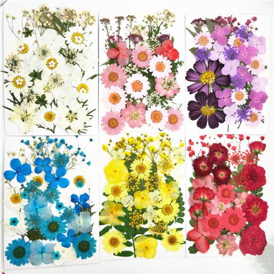 1 Set Dried Pressed Flowers Kit Colorful Natural Flowers DIY Art Crafts Supplies Resin Jewelry Epoxy Mold Candle Soap Vase Making Nail Card