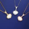 Dress a Shell Necklace Women's Niche High-end Personality Exquisite High-end Sense White Fritillary Sweater Chain Women