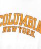 COLUMBIA UNIVERSITY 90 S Arch Logo S/S T-Shirts White