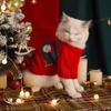 Knitwear Pet Sweater Puppy Pet Turtleneck High Quality Cat Clothes  Christmas Decoration