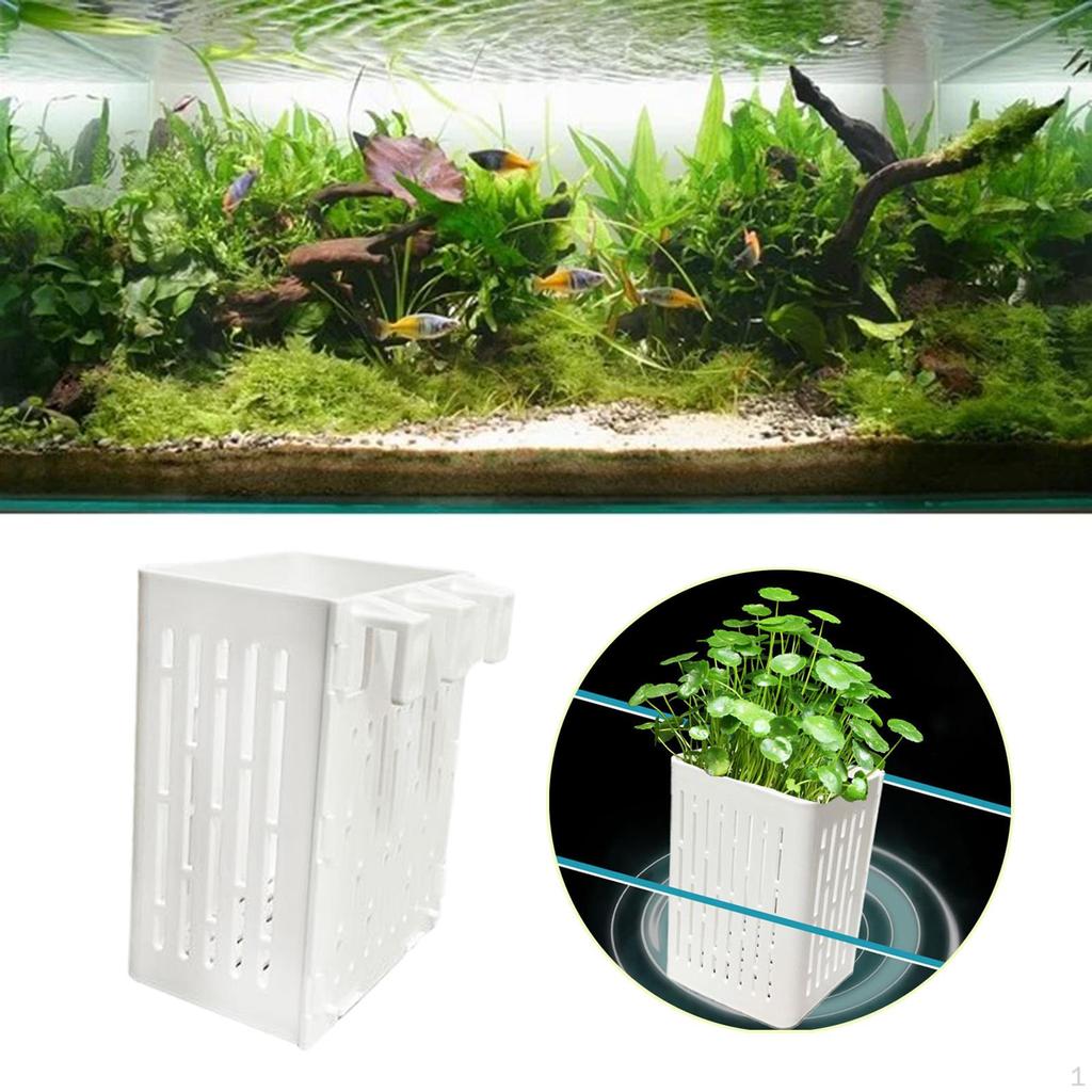 Aquarium Plant Holder Fishes Tank Hanging Planter for Aquascape Decoration