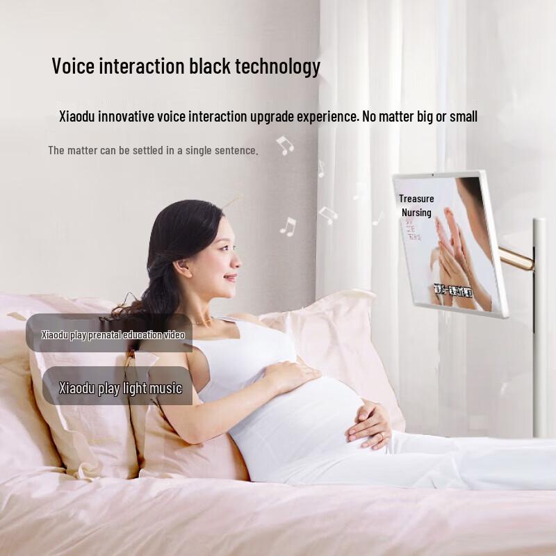 Xiaodu Tiantian 27-inch Smart Portable Entertainment Display (CN version)
