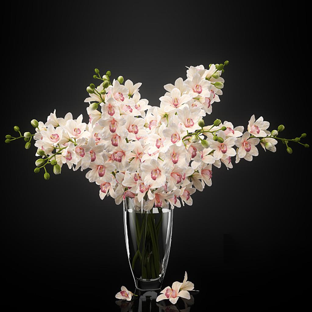 2 комплекта черных акриловых стеклянных пластин 1 8 дюйма 30x30 см Фото Летучая мышь Царапина Зеркальная пластина Студияидеал Жизнь для ювелирных часов с обеих сторон Царапина Фестиваль wi