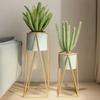 Golden Iron Flower Stand Fashion Indoor Plant Shelf Living Room Balcony Floor-standing Shelf Square Bottom Not Include Plants