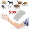 50Pcs Plastic Disposable Vet Glove Disposable Farm Glove Non-toxic Long Arm Glove  Midwifery