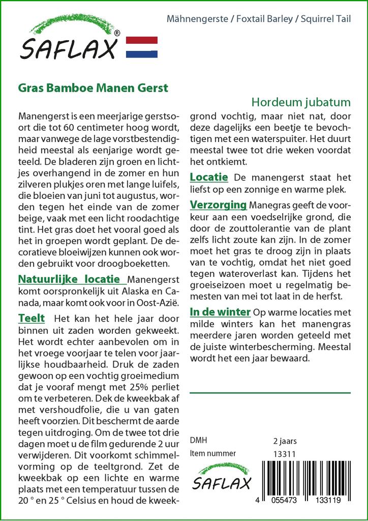 SAFLAX Лисохвост Ячмень / Беличий Хвост - 70 семян - Hordeum jubatum