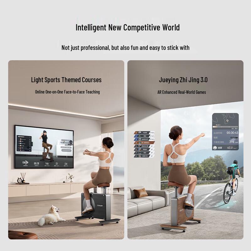 MERACH Shadow Exercise Bike CN plug (adapter included)