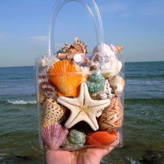 1 Bag Natural Seashells Mixed Ocean Shells Starfish Conch Various Sizes Seashells Set for DIY Crafts Beach Theme Party Fish Tank Filling