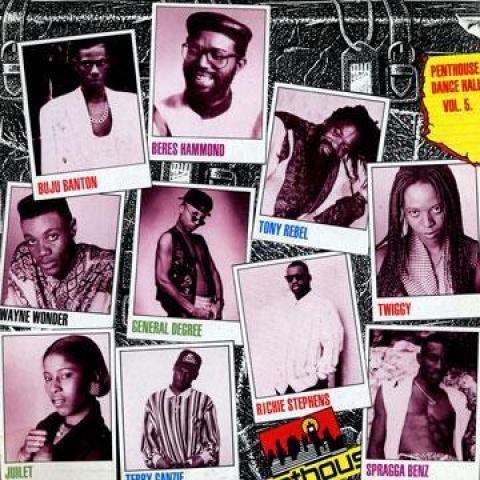 LP Пластинка VARIOUS - Penthouse Dancehall Hits 5 PHRL2018,PHLP20 Penthouse 1995 США Регги, Ска и Даб Б/У