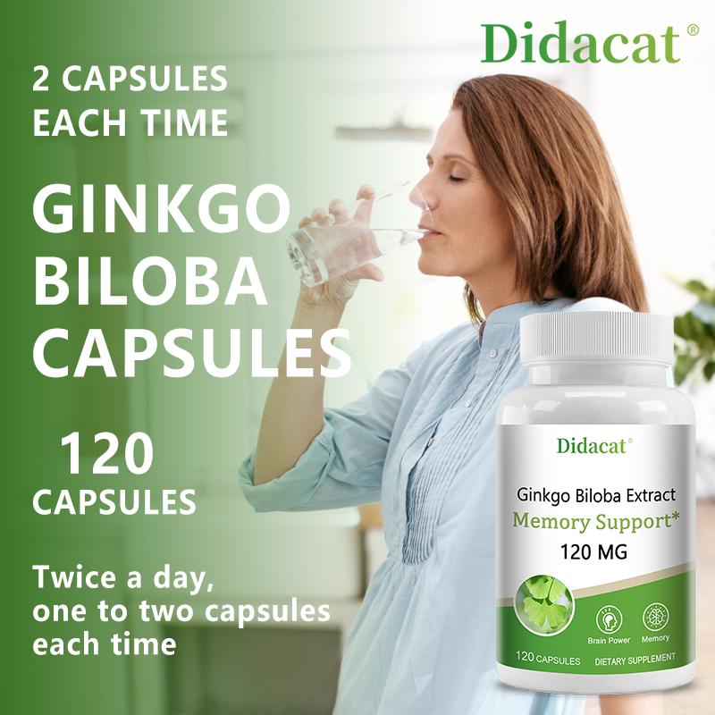 Ginkgo Biloba Extract 120 Mg Dietary Supplement, 120 Capsules Per Bottle