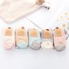 Fluffy Winter Warm Plush Cashmere Sox Thickening Soft Coral velvet socks