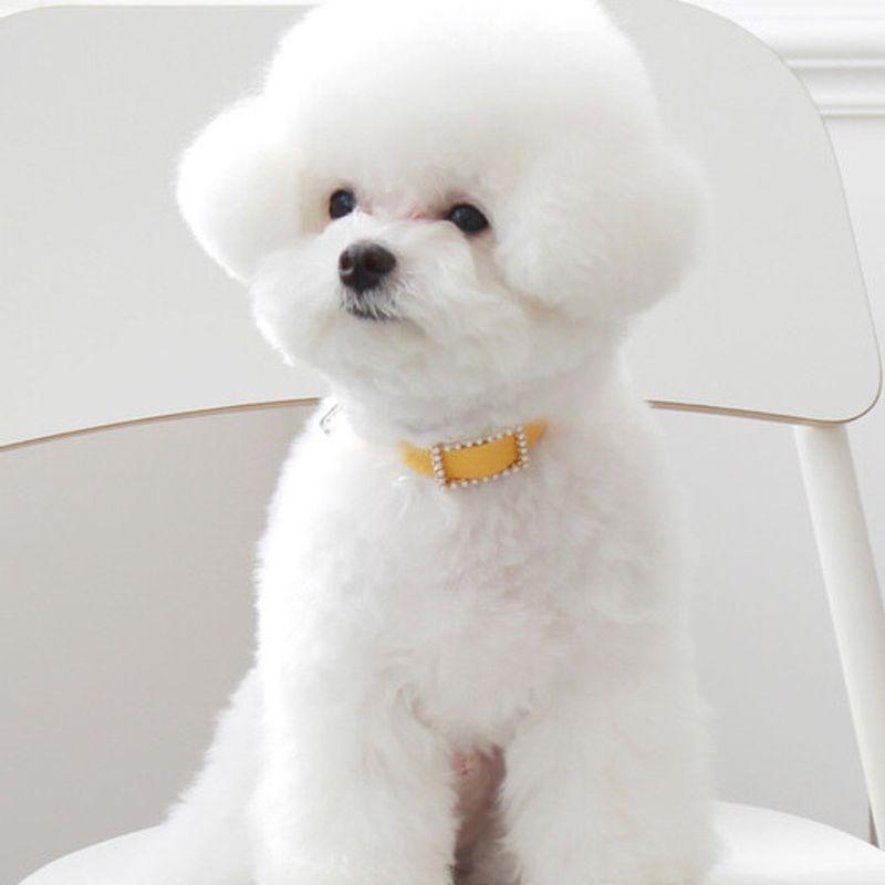 MAISON DE MIU Квадратное жемчужное колье_Желтый