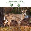 Уличная цифровая камера Mms Smtp, водонепроницаемая камера ночного видения, 12 МП, охотничья камера высокой четкости, 2 г, водонепроницаемая камера-ловушка, игровая камера