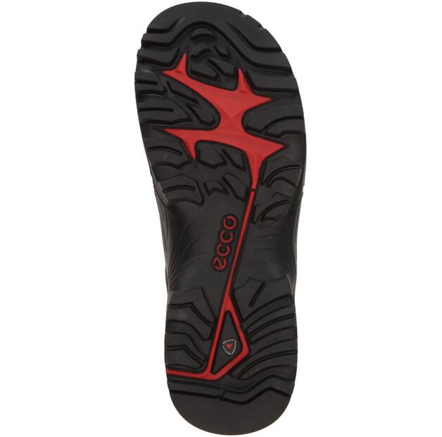 Треккинговые ботинки Ecco Offroad M