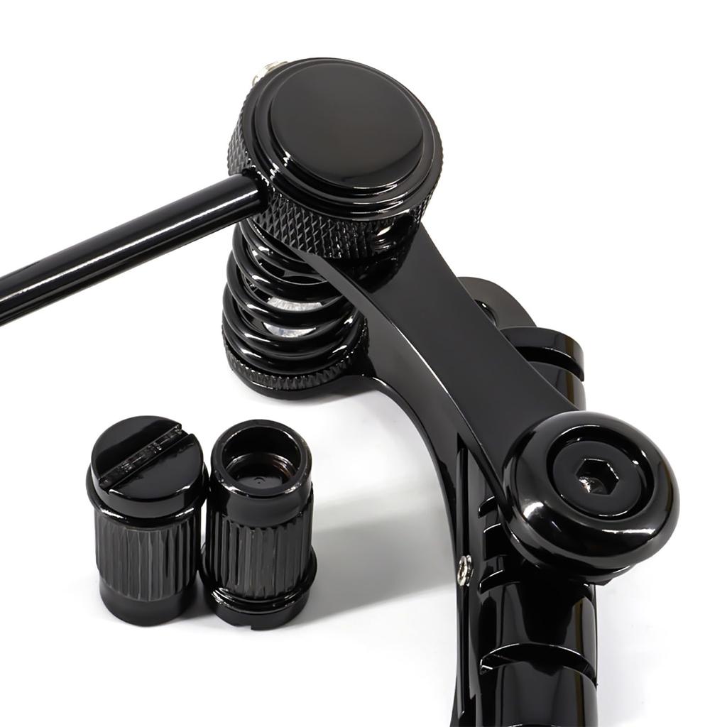 Гитарный струнодержатель Roller Guitar Bridge для LP SG Style Guitar Tremolo, Bridge, Tune-O-Matic