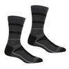 Mens Samaris 3 Season Socks (Pack of 2)